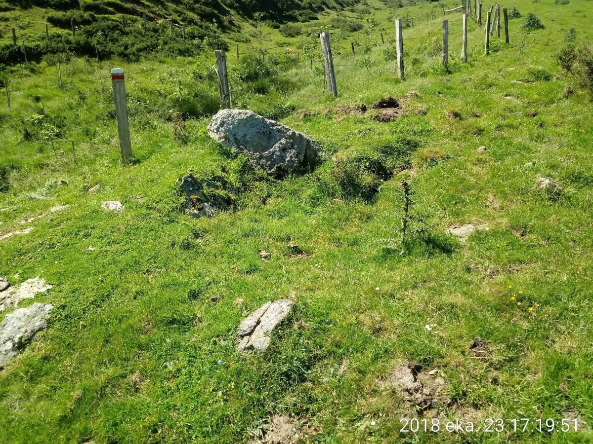 Sorogain trikuharria (2018)