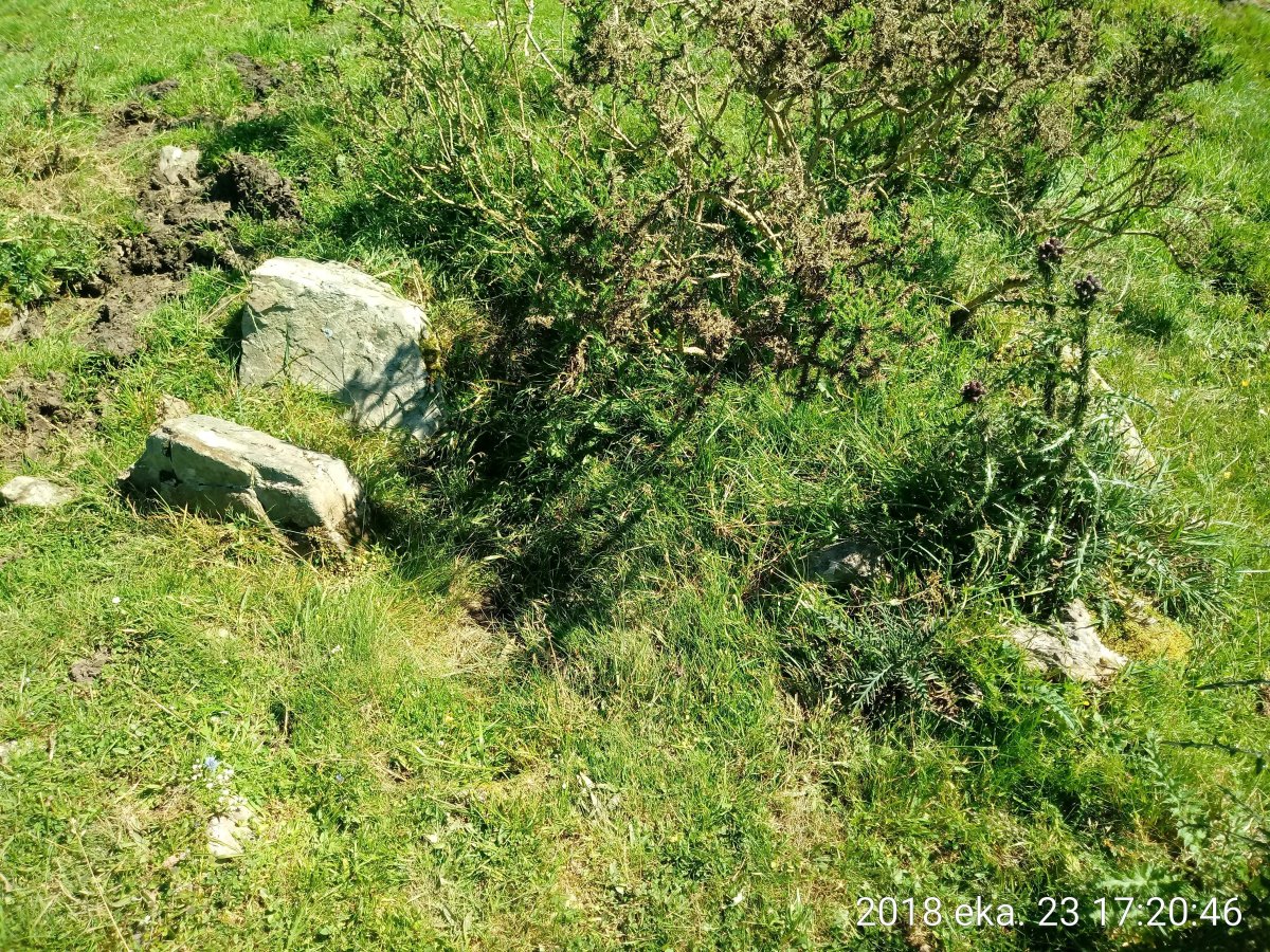 Sorogain zista (2018)