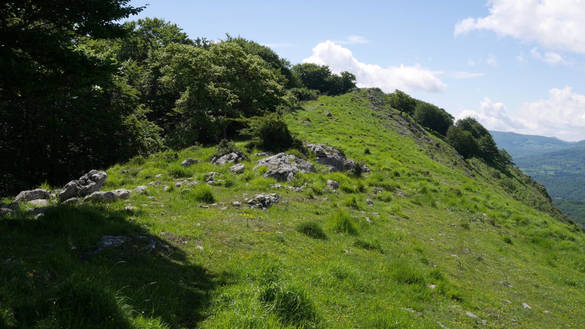 Atumeko IMko bizkarra