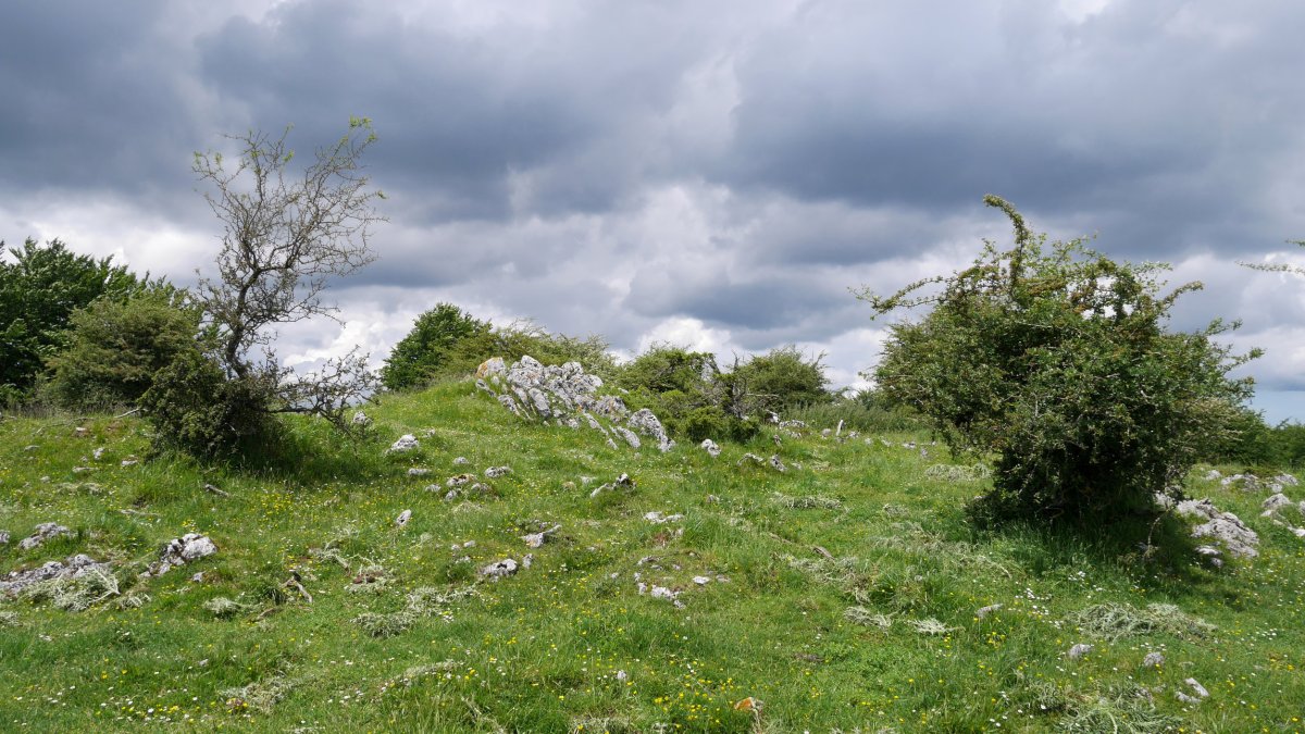 Akordategaña tontorra