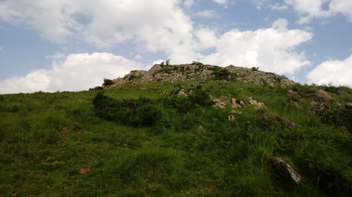 Leizehaundia, mugarria.jpg