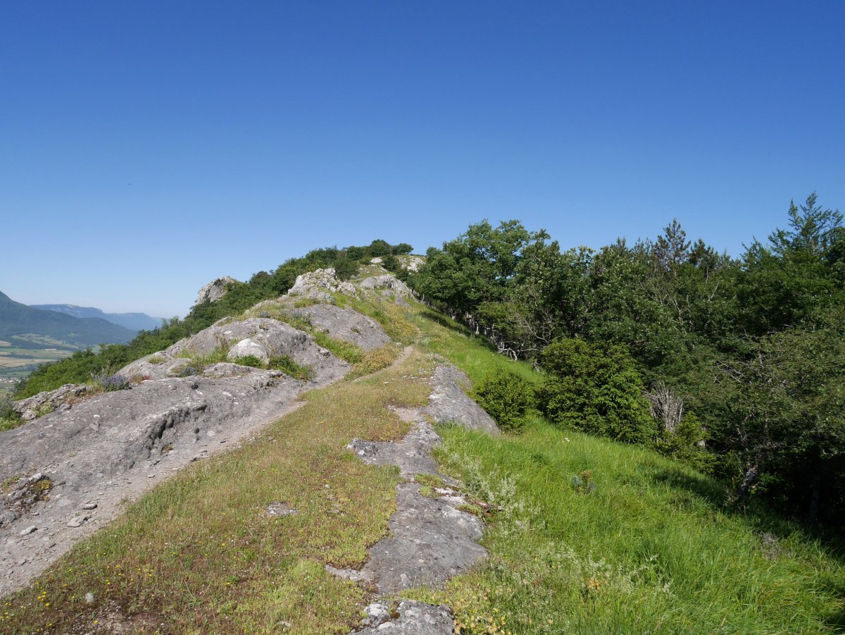 Gandorreko ikuspegia