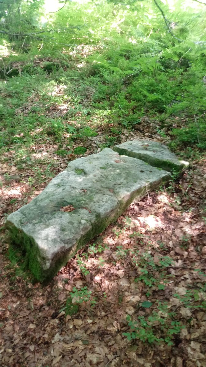 Irazteko Larrea zutarria 5