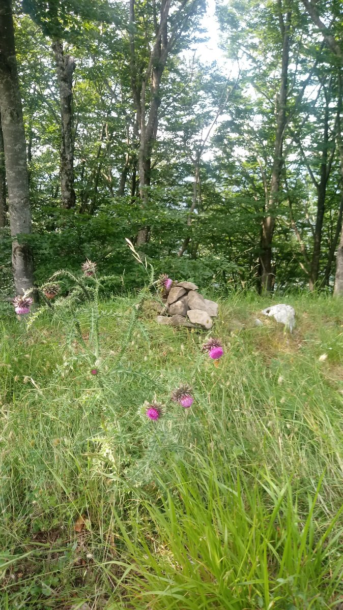 Aasko (835m) tontorreko harripiloa.jpg