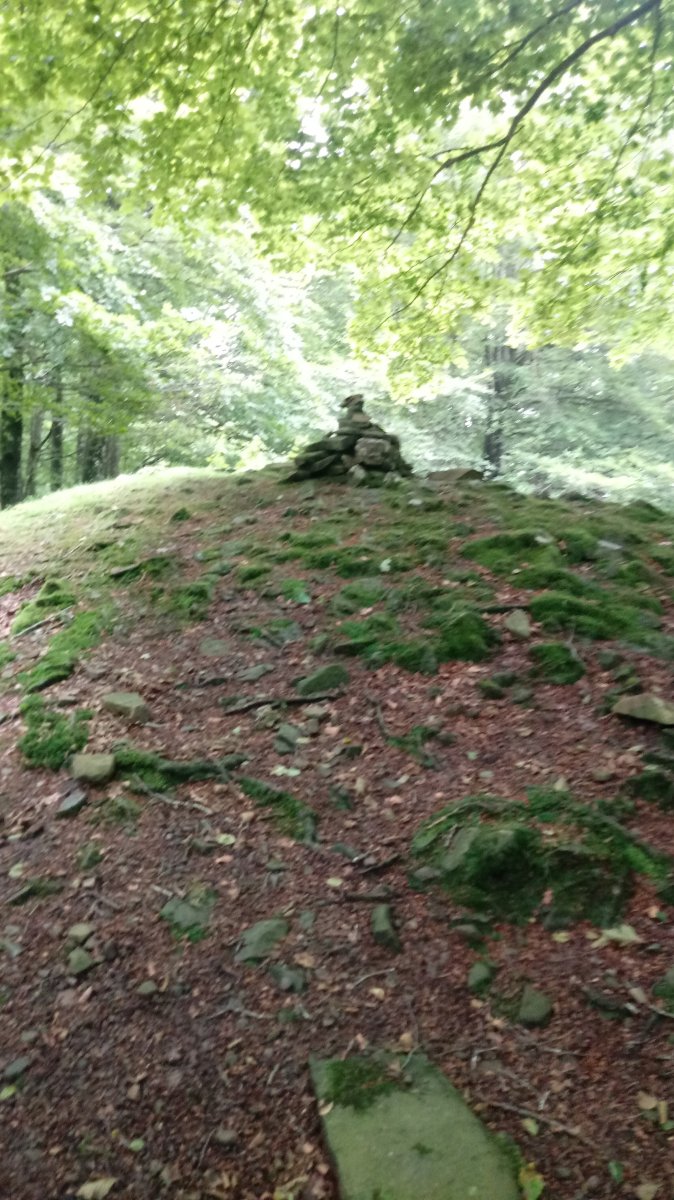 Txaradigorri (994m) tontorra.jpg