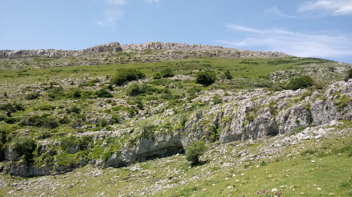 Uarrainetik behera jeisten