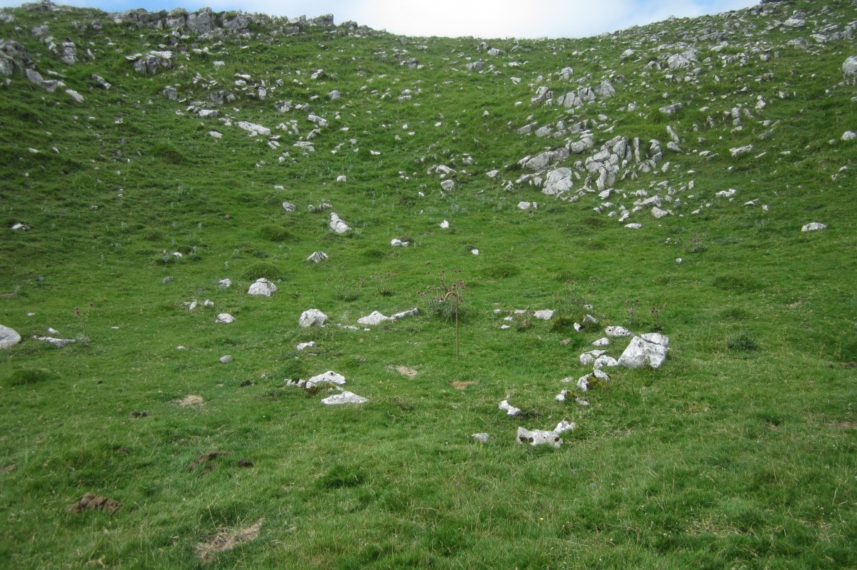 Cromlech Alborta  (Julio 2018)