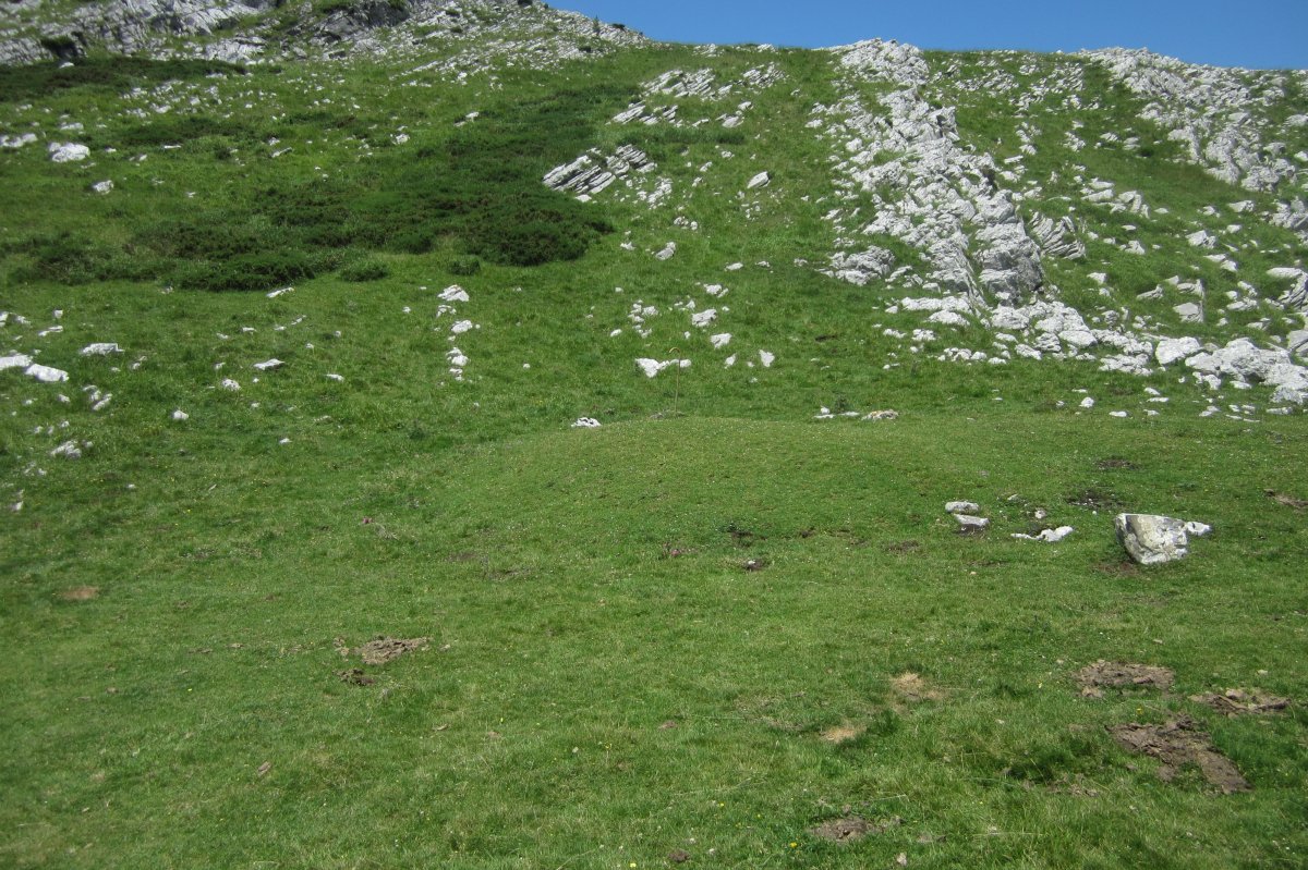 Fondo de Cabaña Algorta (Julio 2018)