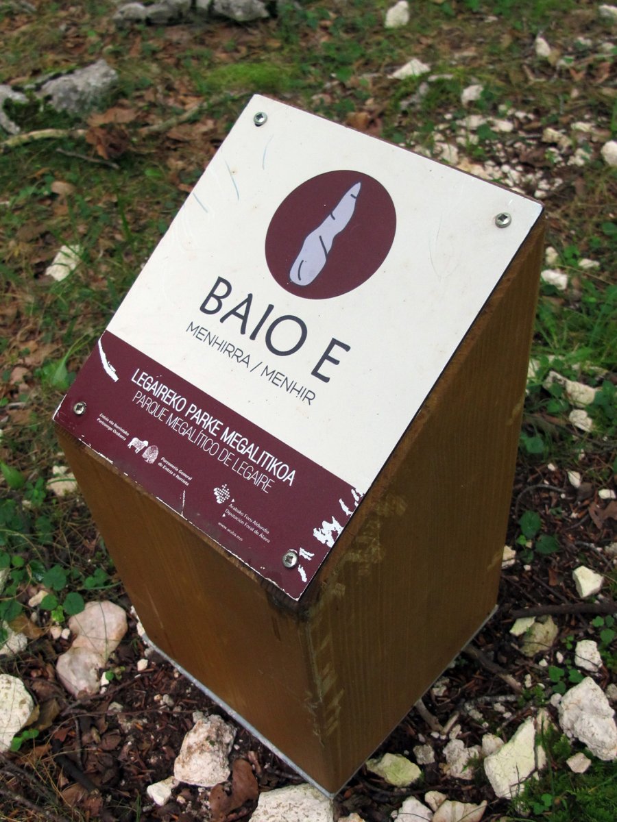 Baio Este zutarria, Entzia