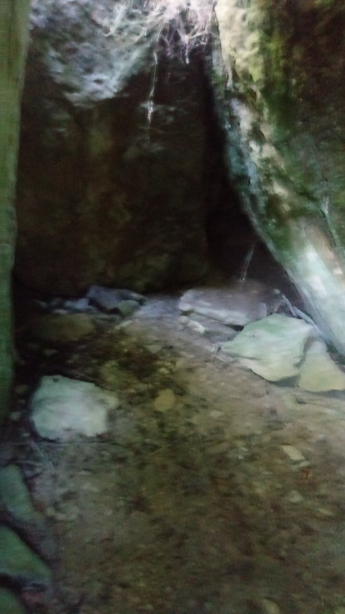 Sakulo trikuharria 2