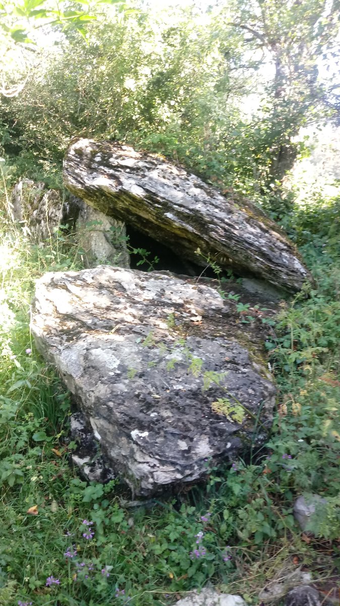 Sakulo trikuharria (2018)