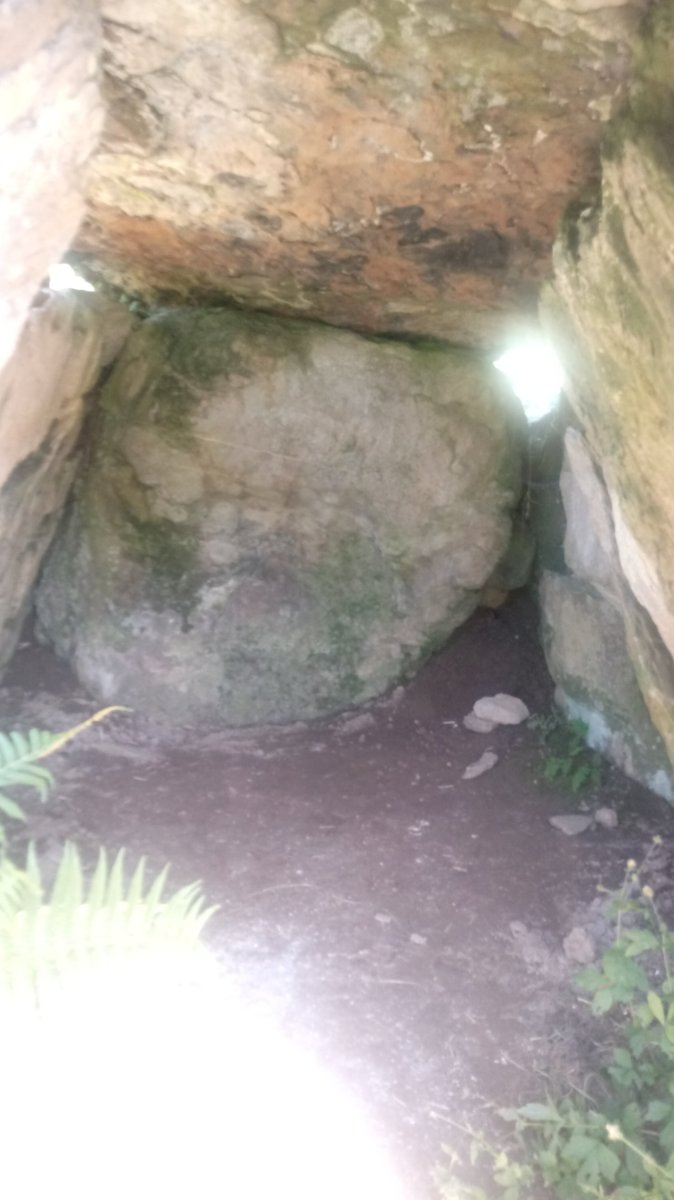 Arrako trikuharria 4