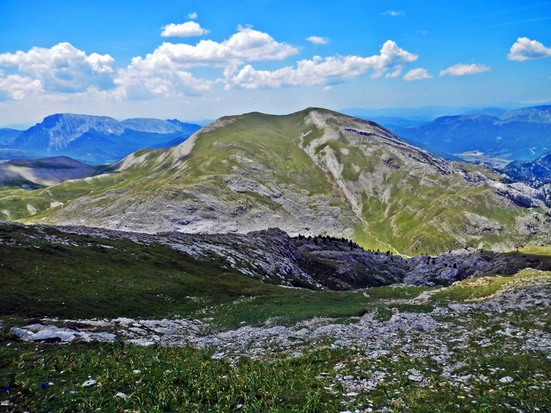 Lapaquiza de Linzola