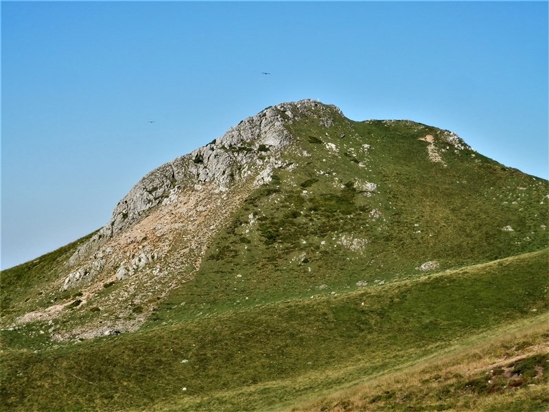 Erpin Geodesikodun Tontorra