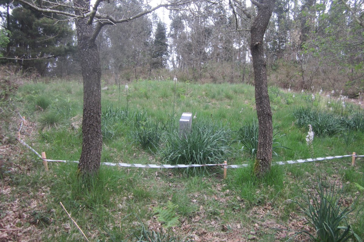 Dólmen Goikogana (M2) Abril 2018