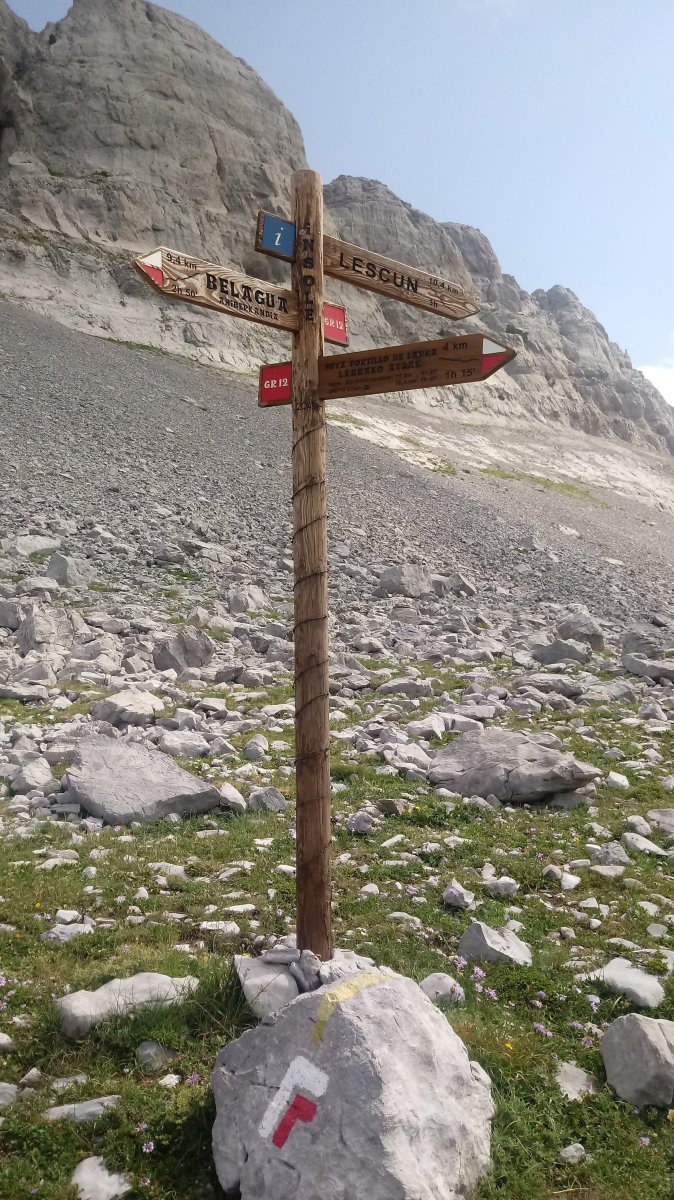 Anaie edo Intzolako Lepoa