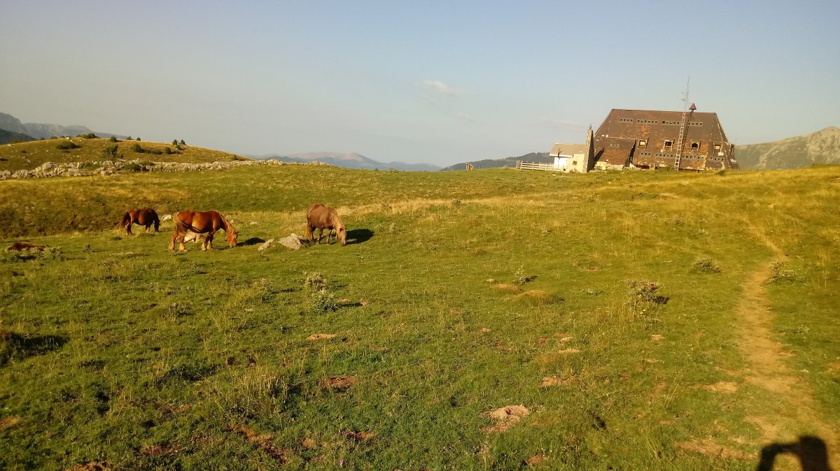 Belaguako aterpea, hasiera puntua