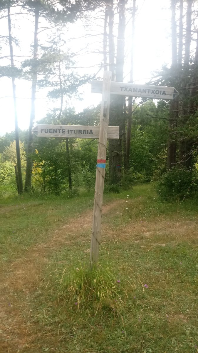 Asolatzeko Lepoa, Txamantxoiarako bidean