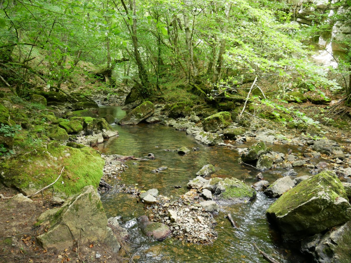 Saúl erreka urjauzitik behera