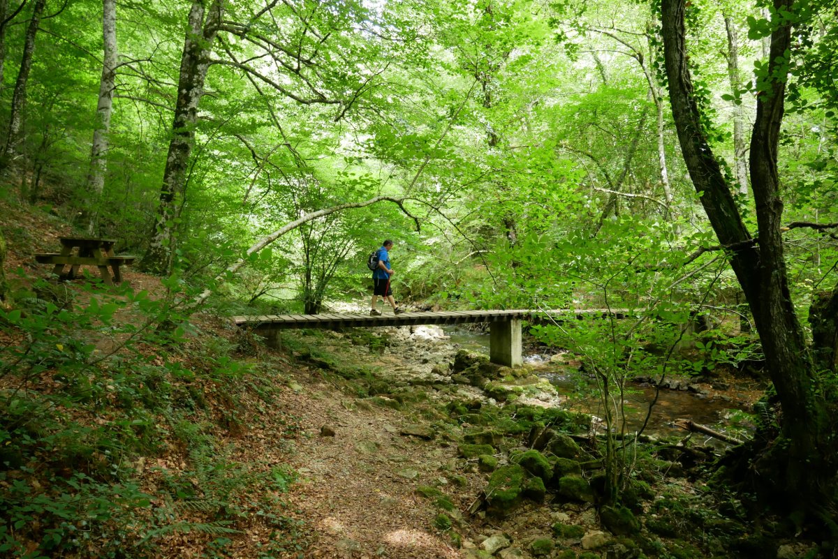 Aisigunea, urjauzitik gertu