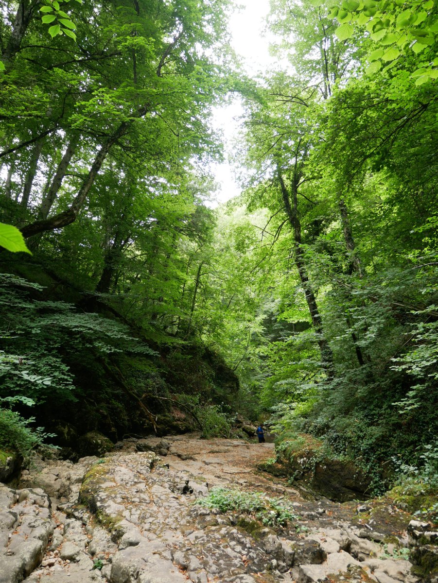 Urjauziaren inguruak