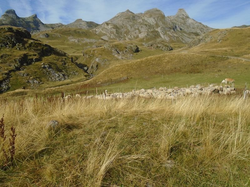 Centre Pastoral 1 harrespila