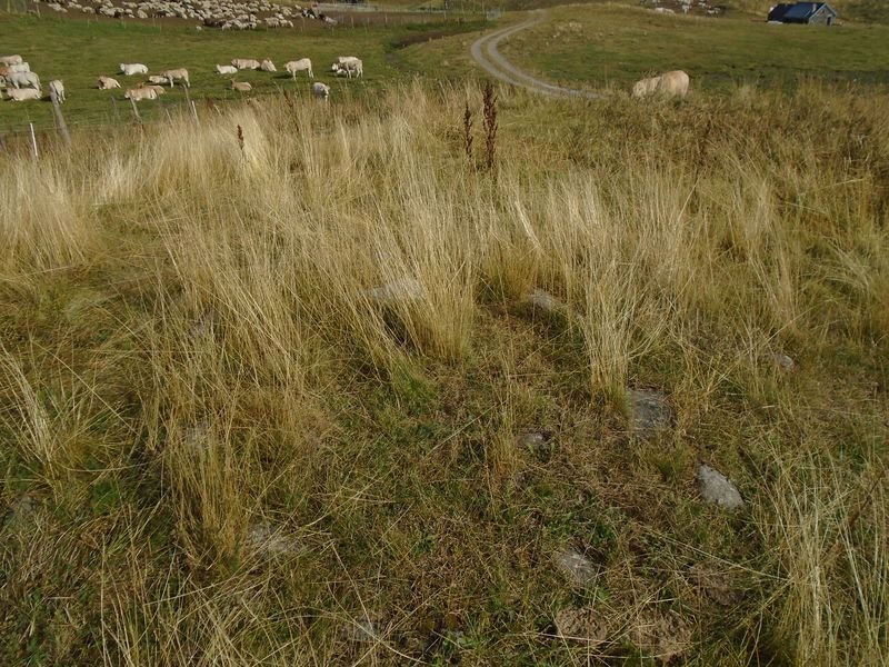 Centre Pastoral 2 harrespila