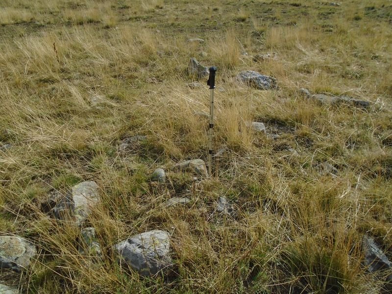 Lalagüe sur harrespila