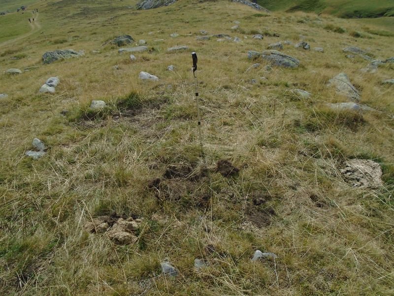 CABANES LA GLÈRE harrespila