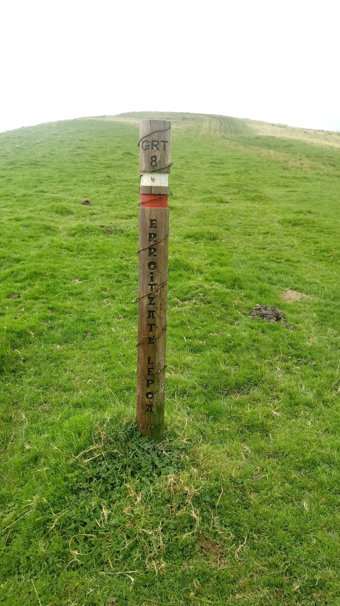 Errozate Lepoa zutabea