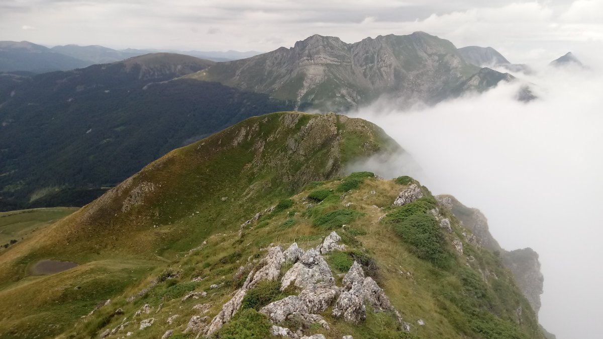 Kortaplana tontorra eta iboia, atzean Lakartxela