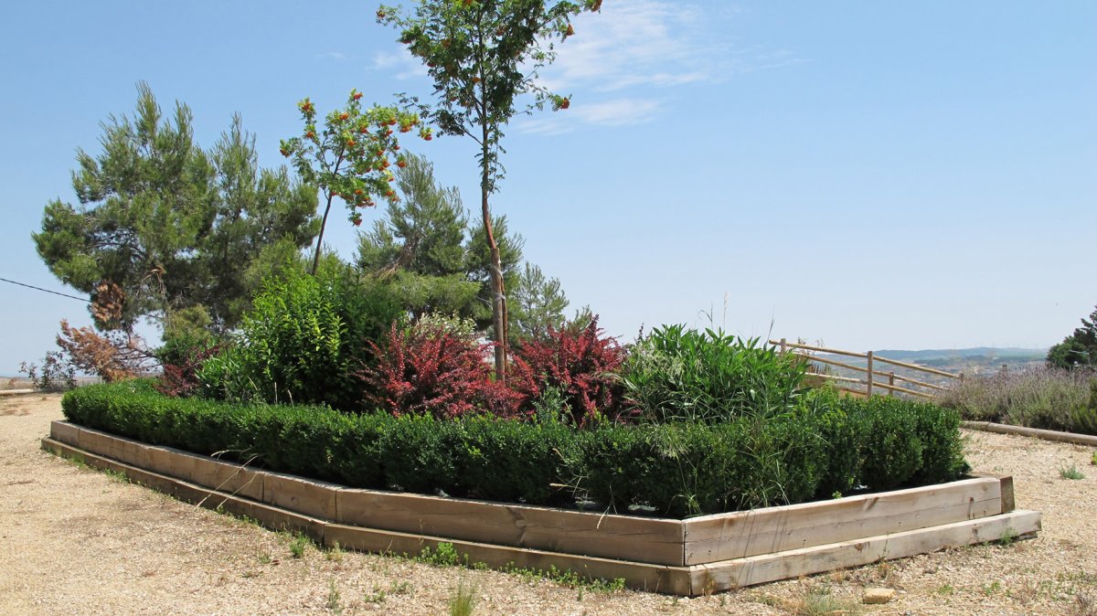 Santa Barbara ermita egondako lekuko lorategia, Carcar