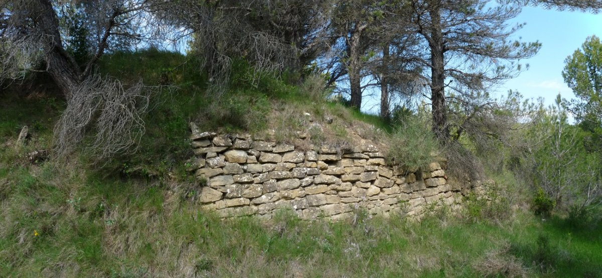 Karlisten gotorlekuaren hondakinak