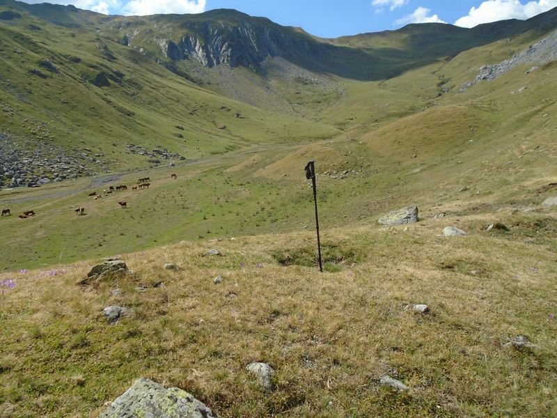 baigt de houer norte