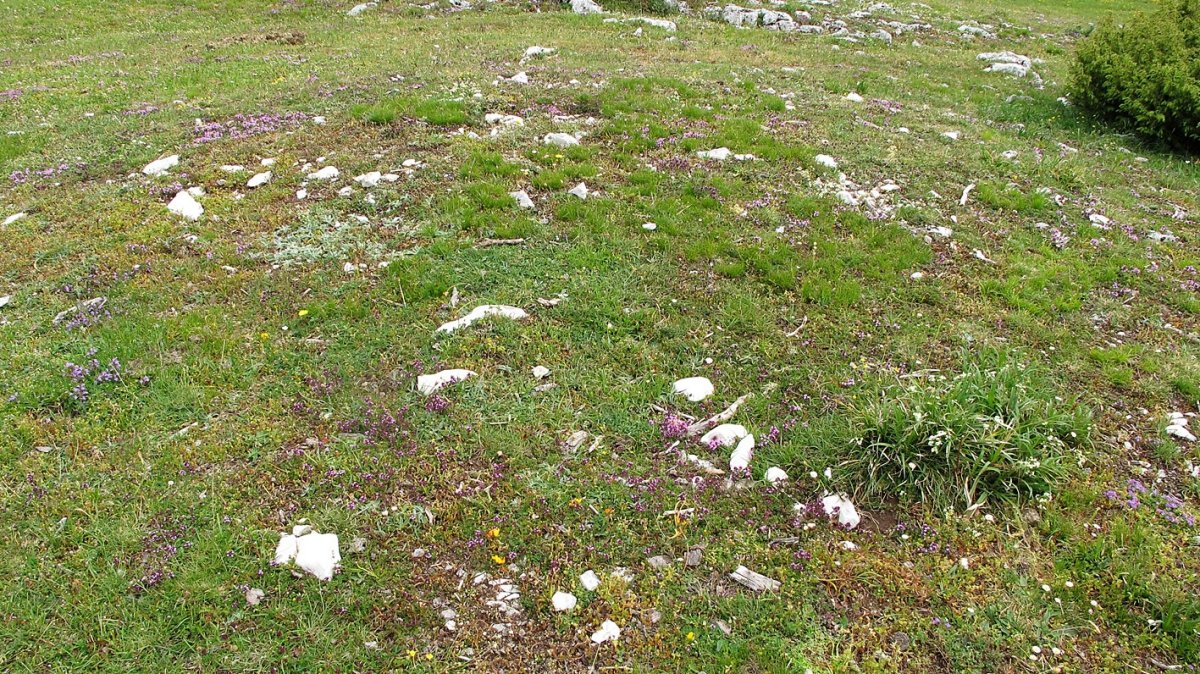 Otsaportillo tumulua, Urbasa