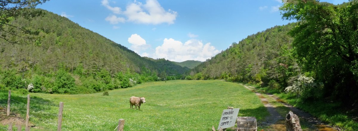 Rakasko biztanle bakarrak