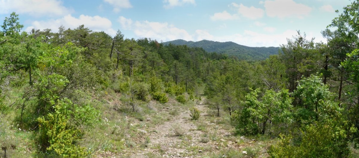 Rakasko bidea, Jebosko lepora iristen