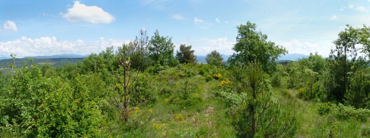 Txaparralgo gailurra