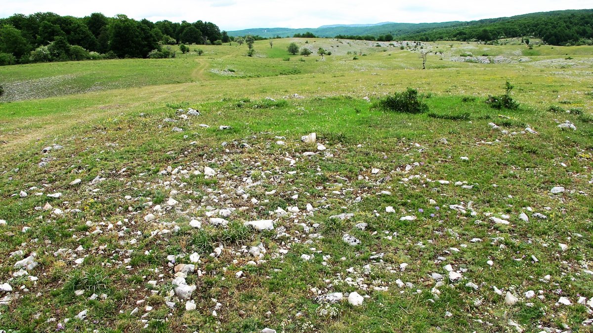 Bardoitza 6 tumulua, Urbasa