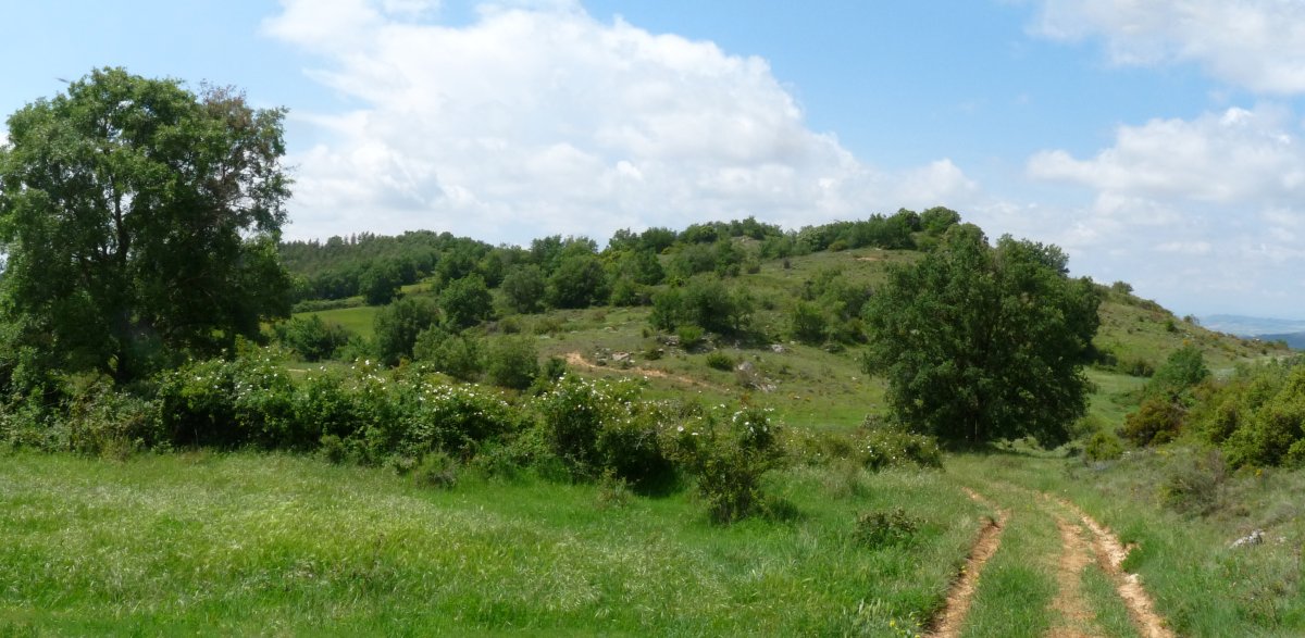 Alto del monte, iparraldeko lepotik