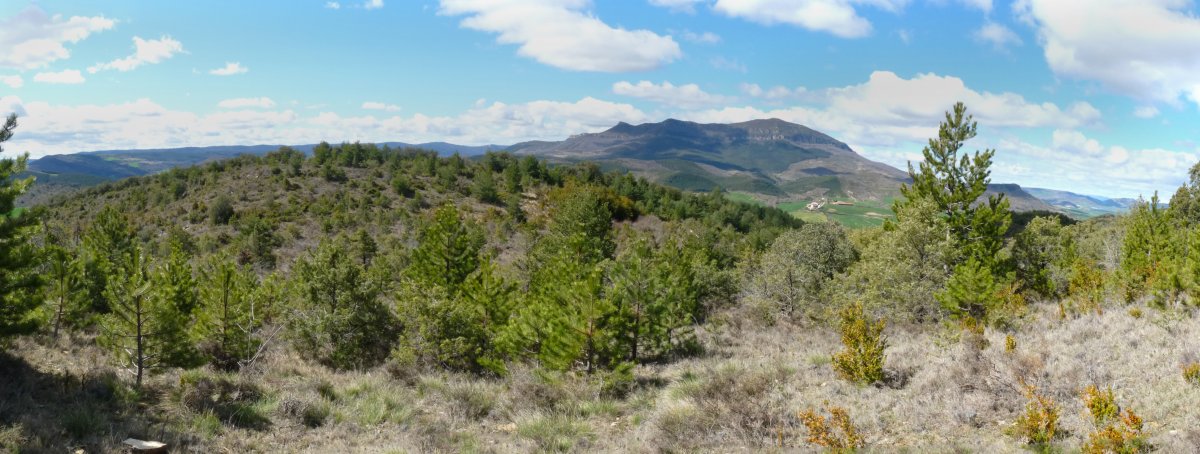 Paisaia gaiilurretik