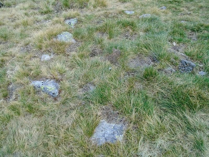 plaa houngarous 2 este