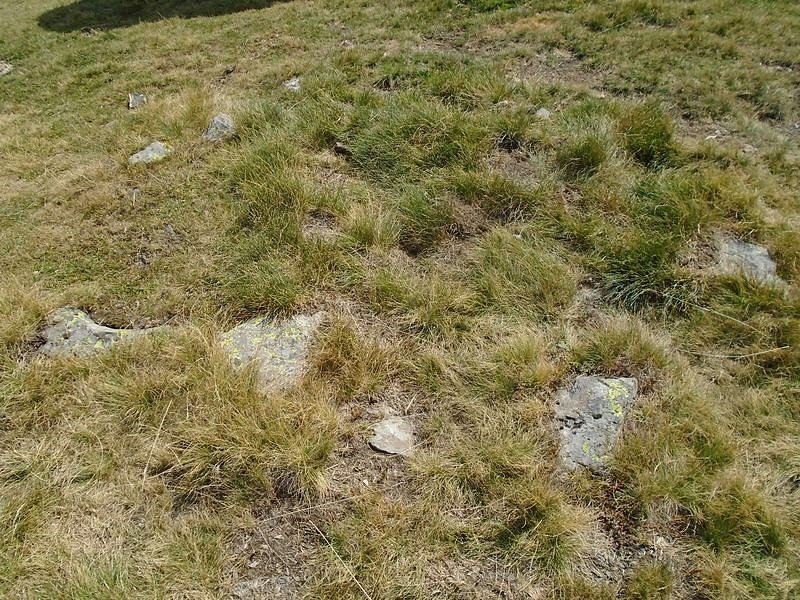 plaa houngarous 2 este