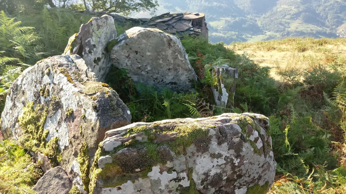 Baikuntzeko Etxola trikuharria 4