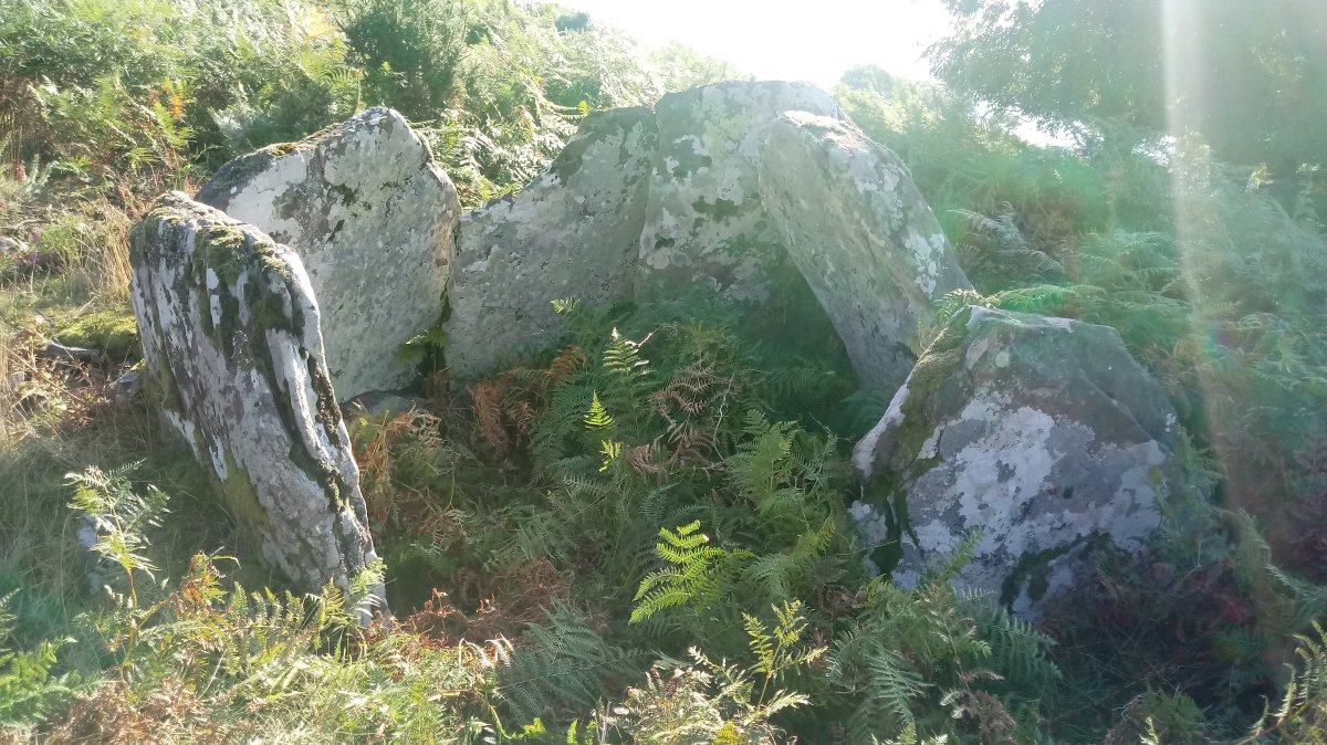 Baikuntzeko Etxola trikuharria (2018)