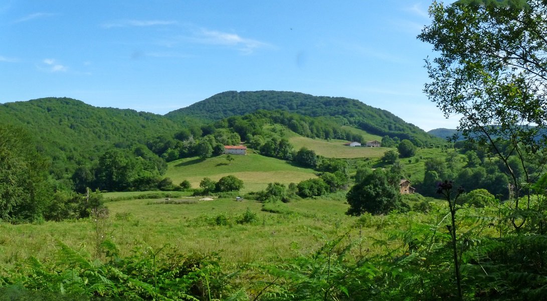 Mortuako parajeak bidean