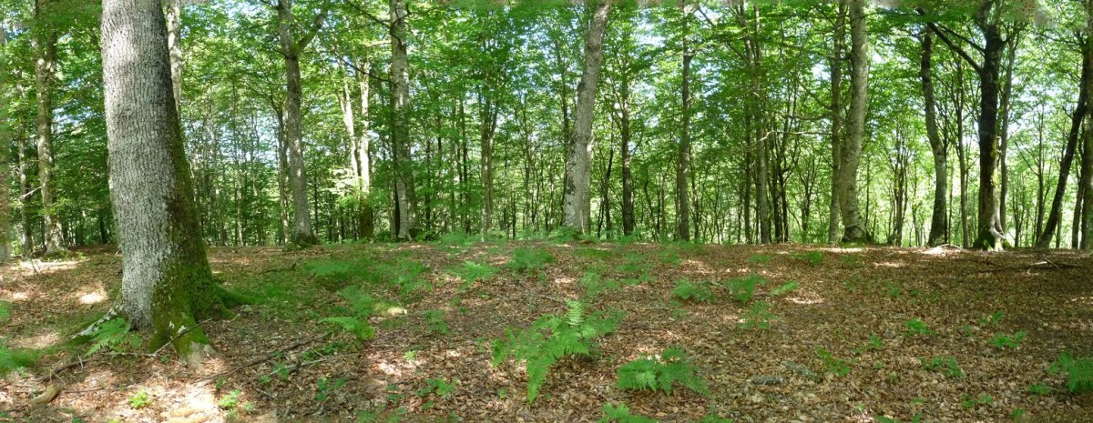 Sastraingo gainaldea, pagadi sakonean