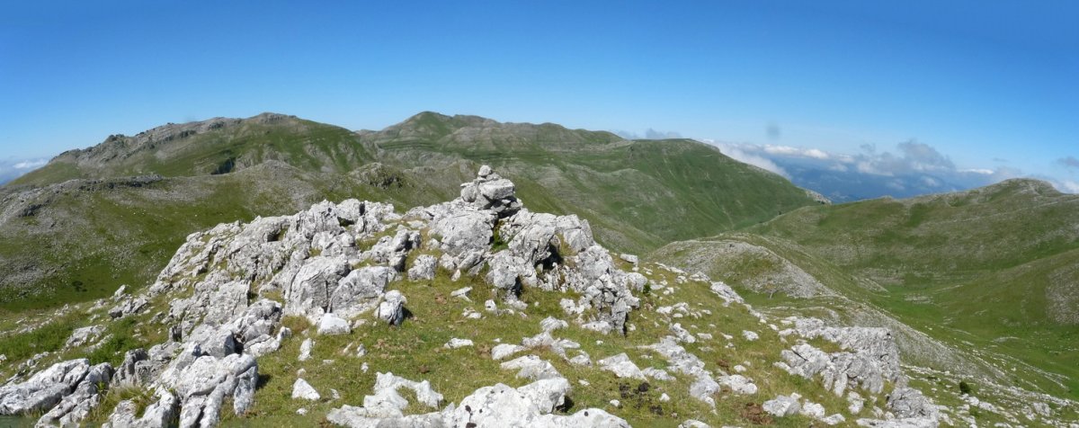 Kobagaineko gailurra