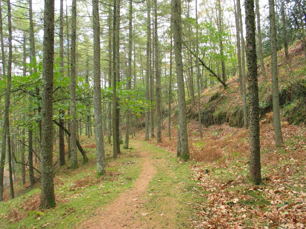 Aireko Palazioaren inguruko bidea