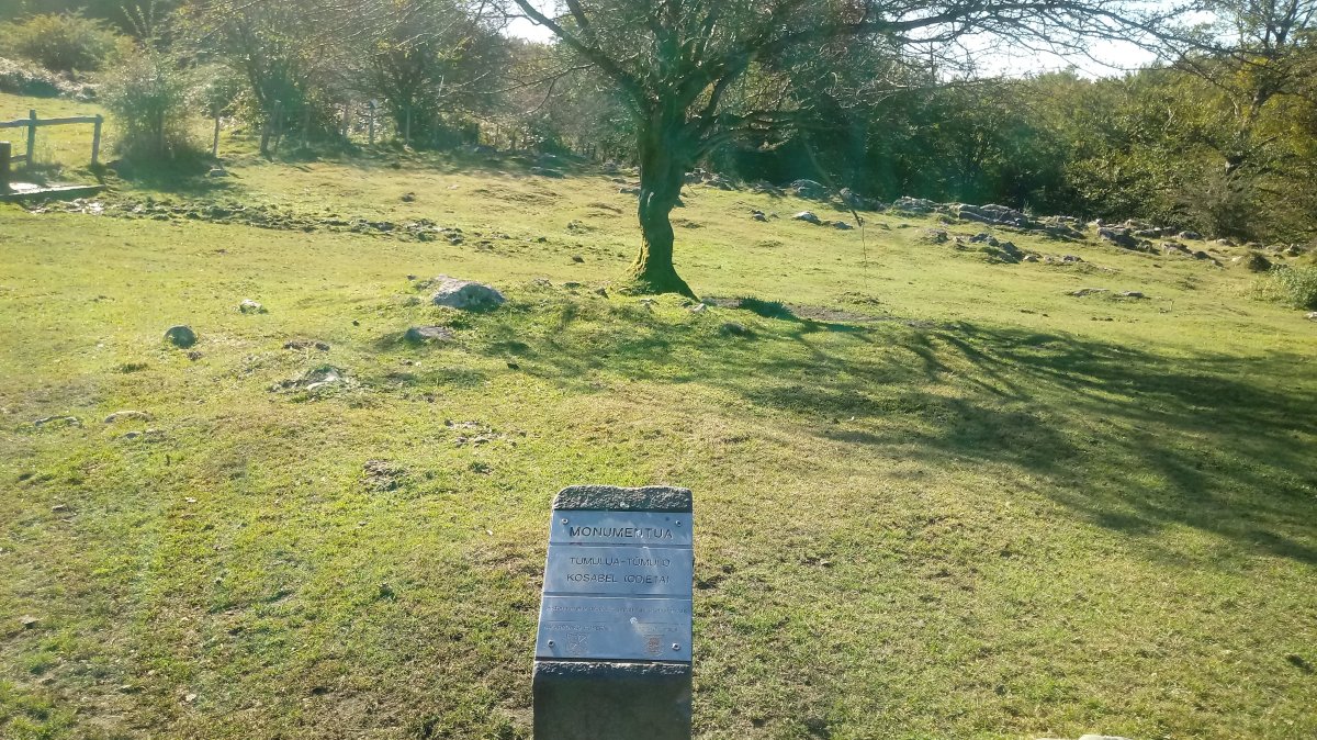 Kosabel (Odieta) tumuloa (2018)